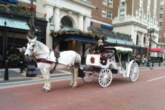 A horse-drawn carriage from Common Gentry Carriage Company in Grand Rapids