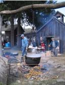 tioga-apple-festival.jpg