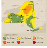 foliagemapnew91813.jpg