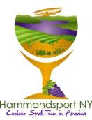 hammondsport-coolest.JPG