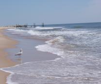 longisland-facebook-image.JPG