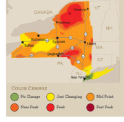 foliagemap_102908.png