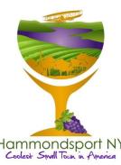 hammondsport-coolest.JPG