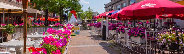 Federal Hill Restaurants