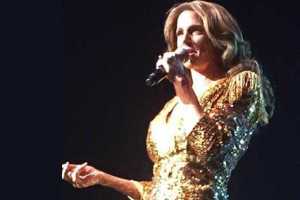 Salute to the music of Celine Dion - Mesquite MusicFest Concert - Cover Photo
