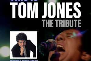 This is Tom Jones - The Tribute - Cover Photo