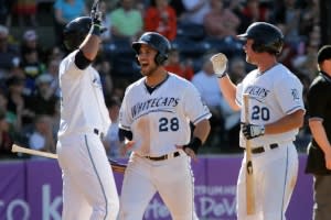 West Michigan Whitecaps 2016 | Grand Rapids Baseball