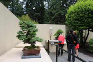 Pacific Bonsai Museum