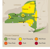 foliage_map_2010_week_2.png