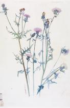 image003.jpg