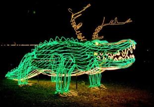 Festival Of Lights In Baton Rouge Tree Lighting Santa One Time Events