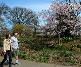 Green Spring Gardens Stop and Smell the Roses
