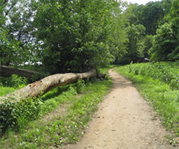 Great Falls: Hike