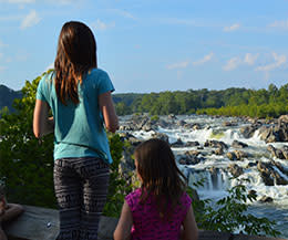 Great Falls: Take it all in