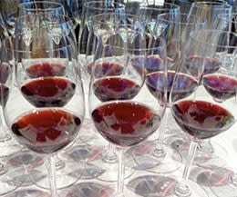 Paradise Springs Winery: Tastings