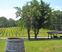 Paradise Springs exterior Paradise Springs Winery: Founding