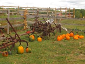 Fruit Ridge Hayrides Fruit Ridge Hayrides in Grand Rapids