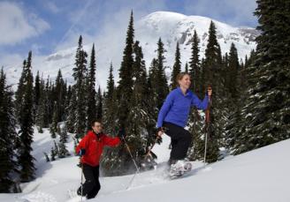 Snowshoe Mount Rainier