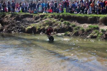 Race those rubber ducks at Ellis Park in Danville! (credit: Danville Parks & Recreation Facebook page)