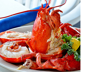 Seafood Restaurants In Providence Ri Fresh Lobster Crab Fish Finn S Harborside In Providence Lobster Meal