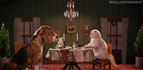PRW_gif2