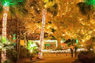 Lights Before Christmas Columbia Sc Lights Before Christmas