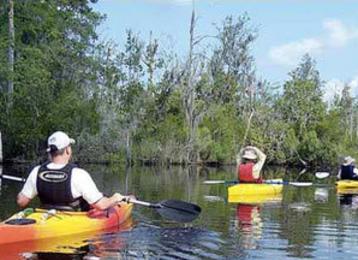 Kayaking Visit Myrtle Beach Black River Outdoors