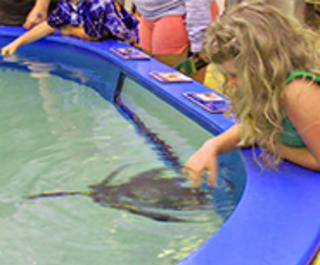 Marine Science Center Ponce Inlet Fl 32127 Marine Science Center