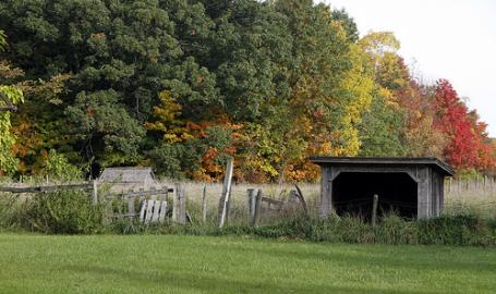 Chellberg Farms 2