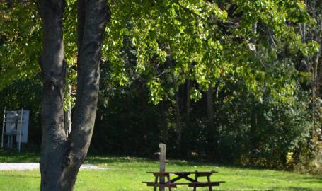 RV Park Site