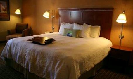 Hampton Inn & Suites Hotel Valparaiso King