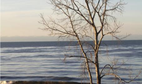 Indiana Dunes National Lakeshore Beach Winter