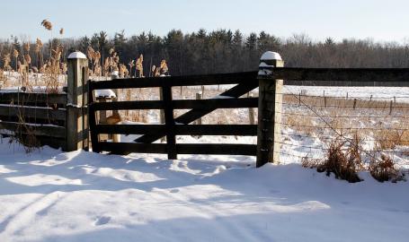 Indiana Dunes National Lakeshore Chellberg Farm Winter