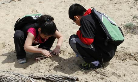 Nature Play Zone Douglas Center Indiana Dunes National Lakeshore