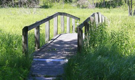 Tolleston Dunes Trail
