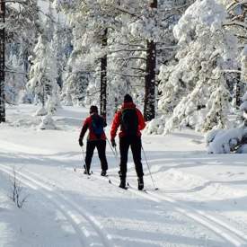 Lygnasaeter Kro Hadeland S Most Visited Inn Receptions Dinners Jaren Norway