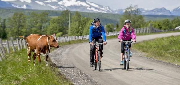 E-bike in Jotunheimen | Family | Vågå | Norway