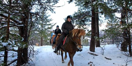 Horseback riding winter - Geilo Hestesenter