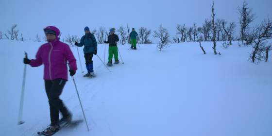 Snowshoeing trip with guide - Geilo Aktiv