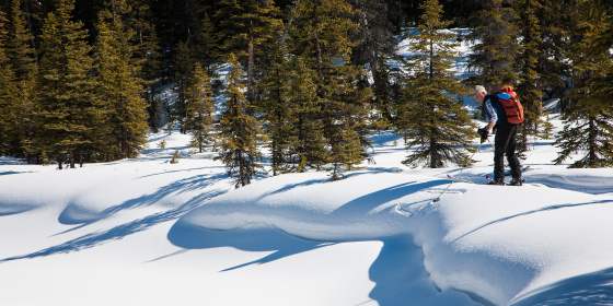 Cross-country skiing - Vinternatt