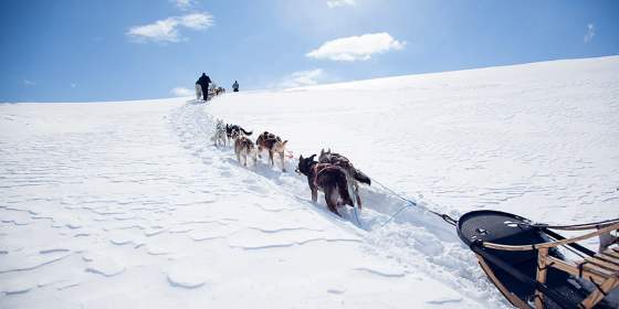 Altre Attività In Norvegia La Guida Turistica Ufficiale Della
