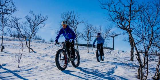 Guided fatbike tour