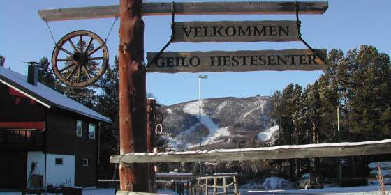 Sledding - Geilo Hestesenter
