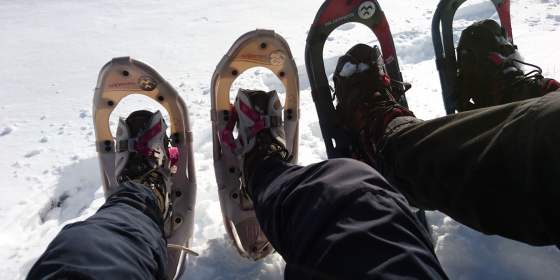 Private snowshoeing tour