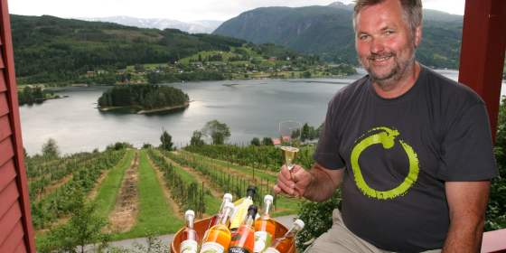 Ulvik Frukt & Cideri