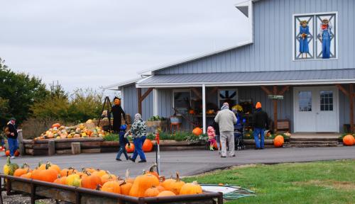 Barn at Walter's Pumpkin Patch - Burns, KS