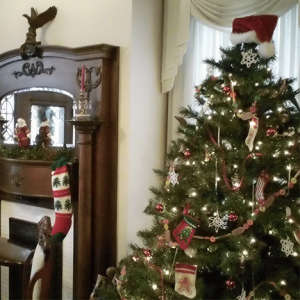 Christmas in Bowling Green KY Events Shows