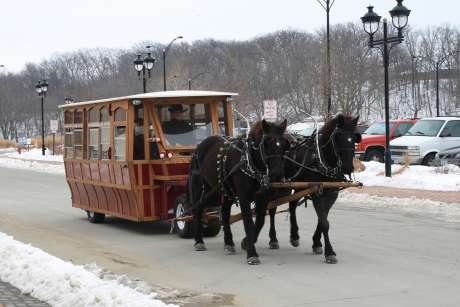 Coralville Winterfest