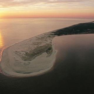 Delaware Campgrounds Cape Henlopen State Park Lewes De