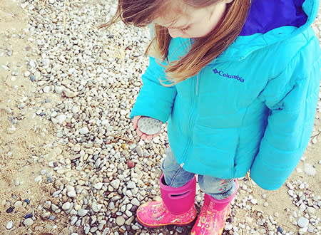Looking for Petoskey Stones